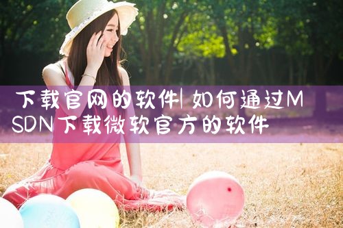 下载官网的软件
