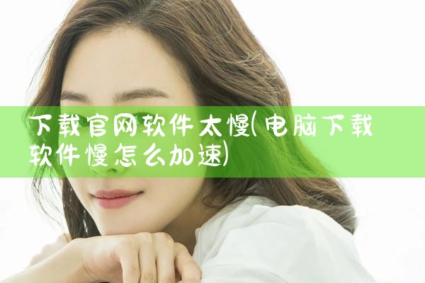 下载官网软件太慢