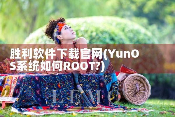 胜利软件下载官网
