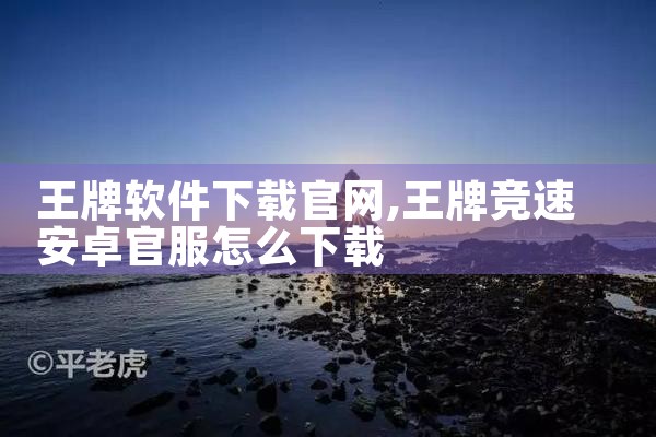 王牌软件下载官网