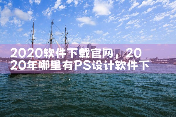 2020软件下载官网