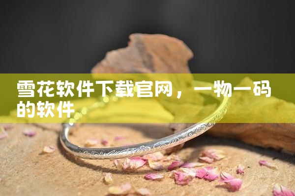 雪花软件下载官网